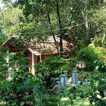 Готель Leisure Vacations Whispering Woods Мадікері Екстер'єр фото